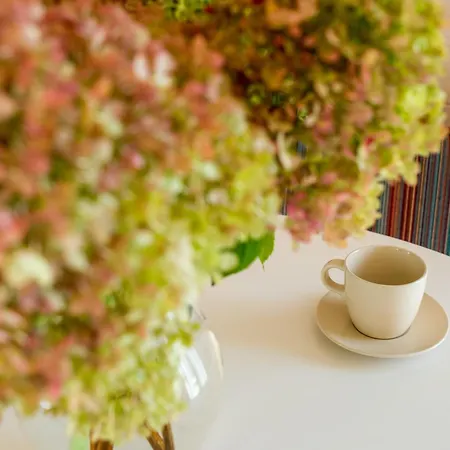 Kozia Apartment Brenna