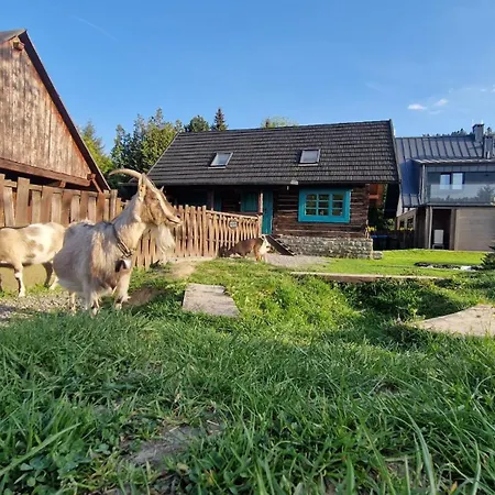 Kozia - Nad Rzeka