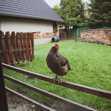 Kozia *