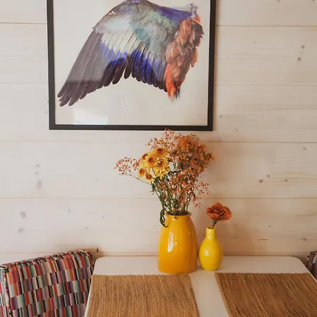 Kozia Apartment Brenna